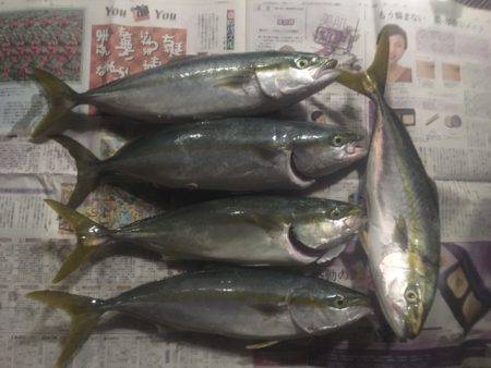 ショアジギング