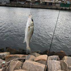 河口でちょい投げ