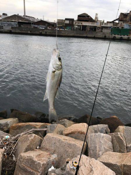 河口でちょい投げ