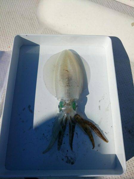 秋の長雨の合間に・・・