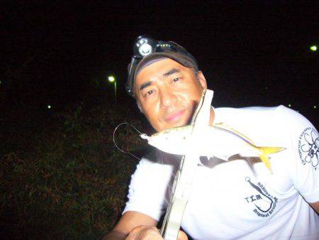 簡単愉しいアジング