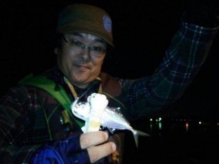 アジングは楽しい!