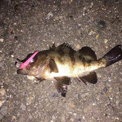 風が強すぎて‼