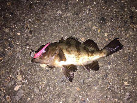 風が強すぎて‼