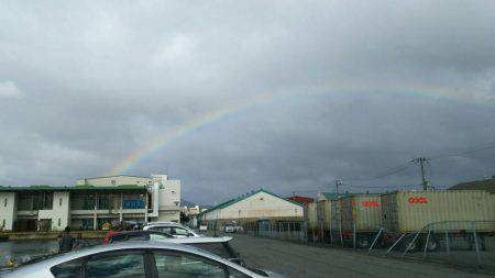 のんびりサビキ♪