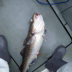 クーラー満タン