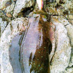 第２のホームでなんとか～♪