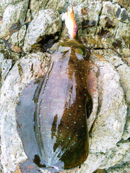 第２のホームでなんとか～♪