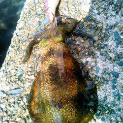 ばば荒れ&強風！