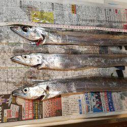 台風後、期待するが撃沈