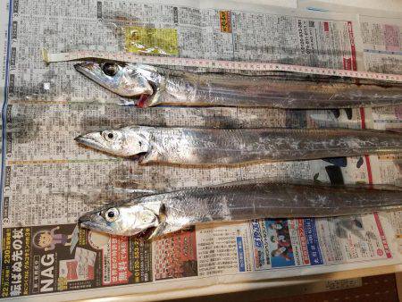 台風後、期待するが撃沈