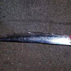 ワインドぶん投げた結果、、、