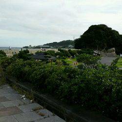 岩屋漁港で鳥山！ナブラ撃ち成功しました。