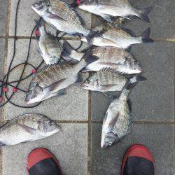 １ヶ月ぶりの釣行