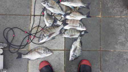 １ヶ月ぶりの釣行