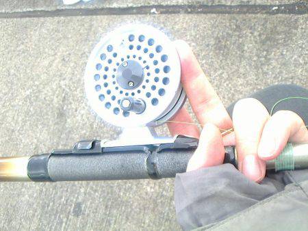 午後からセイゴちゃんと♪