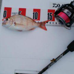 リリースサイズ