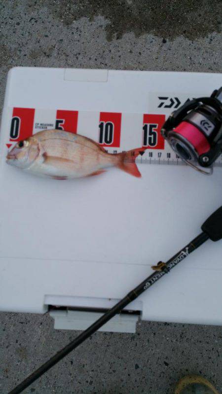 リリースサイズ