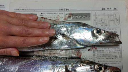 ﾃﾝﾔ引き釣り