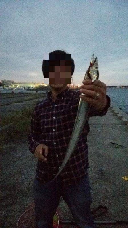 夕暮れタチウオ