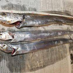 もう少しでメーター…(-\\\”\\\”-;)