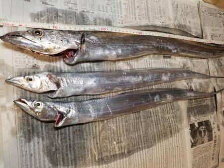 もう少しでメーター…(-\\\"…