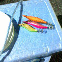 初めてのエギング