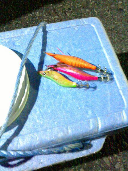 初めてのエギング