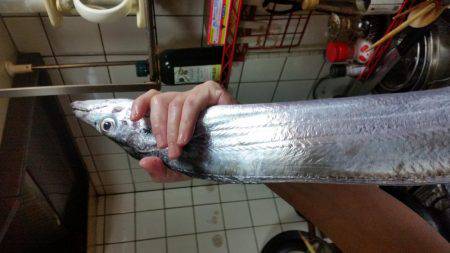 ウキ釣りとﾃﾝﾔ引き釣り