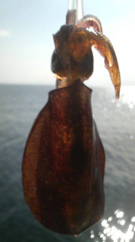 なめてました。