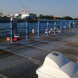 しぶーいセイゴ釣り