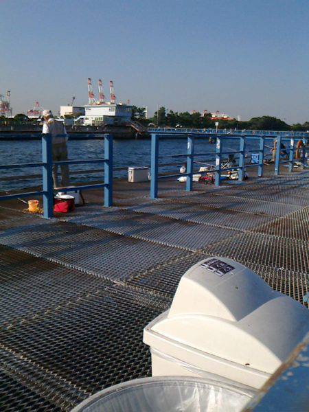 しぶーいセイゴ釣り