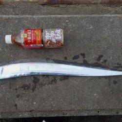 久々のタチウオ釣行