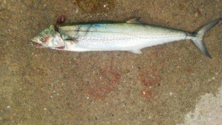 もう帰ろうかと思ったら