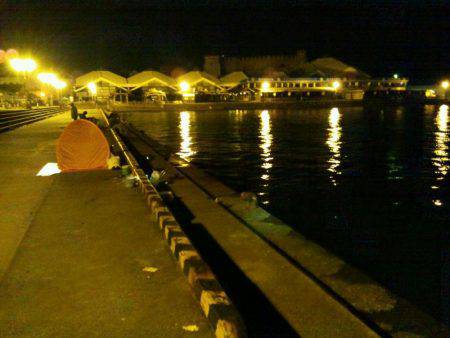 マリーナでタチウオ