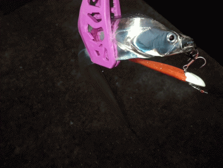 姫路タチウオ爆釣(2016-2)