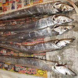 渋いなぁ…f(^_^)