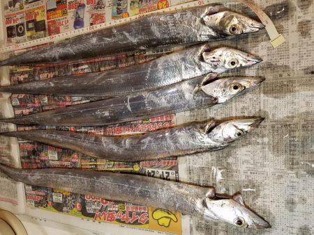 渋いなぁ…f(^_^)