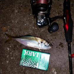 風が強い時の風対策！！