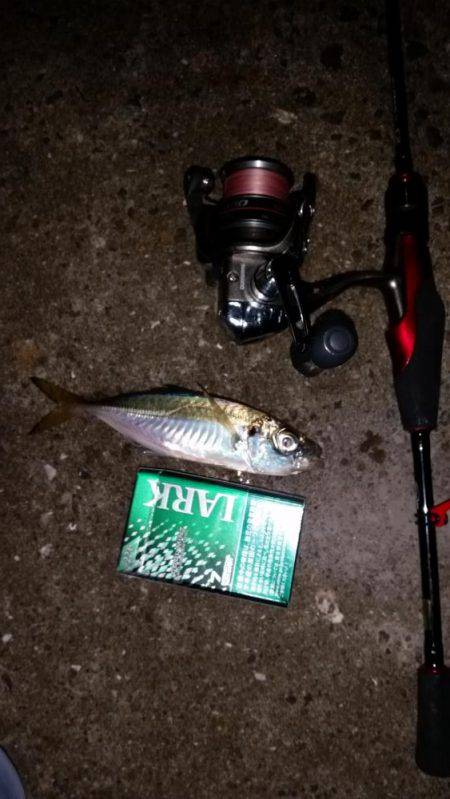 風が強い時の風対策！！