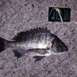 えっ?アンタが来たの?