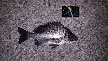 えっ?アンタが来たの?