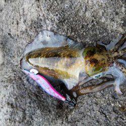 今季2度目の釣行