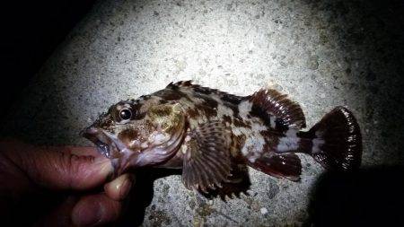 タチウオに行きました！！が…