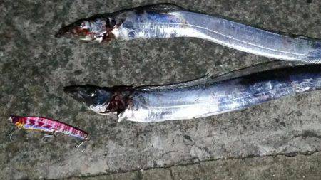 ジグとバイブでタチウオ