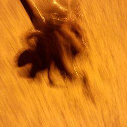 久しぶりの湾内たこ