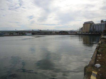 久しぶりのサビキ