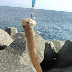 ルアーチャレンジ