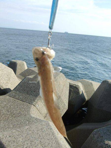 ルアーチャレンジ