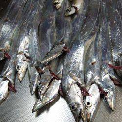 タッチー久しぶり！